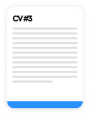 CV Design 3